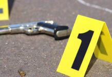 “Un Estado fuerte no es el que ejecuta, es el que protege”; Pablo Ulloa advierte sobre muertes atribuidas a la Policía