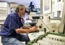 Detectan retrasos del desarrollo cerebral en niños infectados por la covid en el embarazo