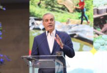 FAO afirma que RD reduce subalimentación del 8.7 % en 2019 al 3.6 % en 2025 y fortalece el poder adquisitivo de sus ciudadanos