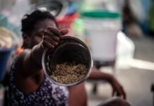 Haití, miles de vidas atrapadas entre la violencia y el abandono