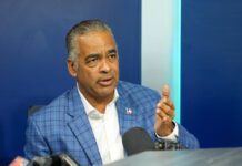 Ministro Joel Santos detalla proyectos que aportarán 600 MW al SENI en los próximos seis meses