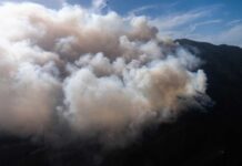 Medio Ambiente continúa combatiendo incendio en Parque Armando Bermúdez
