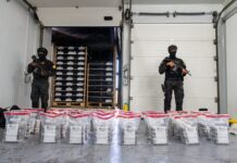 DNCD se incauta de cocaína en paquetes de banano en Caucedo