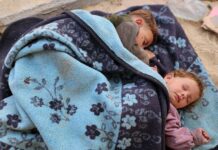 Mueren ocho gazatíes, incluidos dos bebés, por hambre y desnutrición