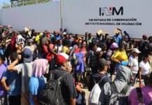 Flujos Migratorios Internacionales