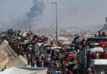 El papa expresa solidaridad a población de Gaza, obligados por la fuerza a dejar su tierra