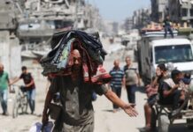 Jefe de la OMS advierte a Israel que provocar hambruna en Gaza “no ayuda a los rehenes”