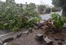 Primer ministro de Jamaica declara el país como “zona catastrófica” tras huracán Melissa