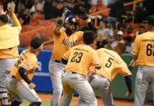 Águilas Cibaeñas derrotan a Toros del Este 11-4 en La Romana