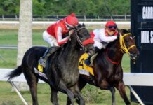 Posponen cartel hípico de este sábado por tormenta Melissa