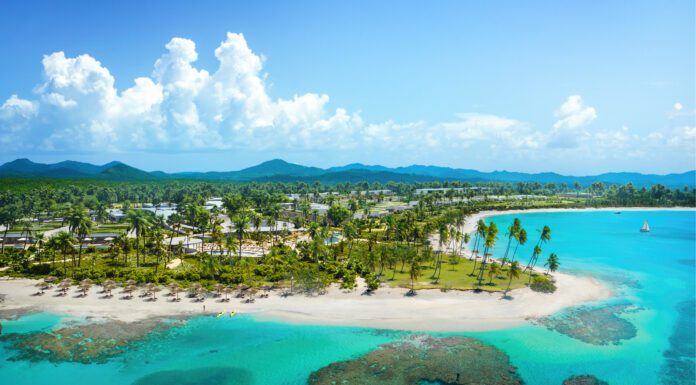 Colección Tropicalia abre su primera convocatoria para artistas del Caribe