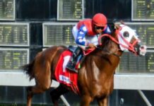 Disputarán Clásico Fanático Hípico el sábado en el Quinto