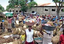 Ensalada agridulce: béisbol, crisis haitiana y aires navideños