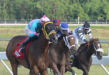 Repartirán el sábado un millón de pesos en el Quinto