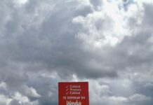 La obscena prioridad del lucro sobre la seguridad vial en República Dominicana