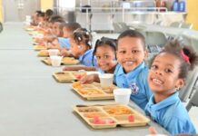 El INABIE resalta sus aportes a la disminución del hambre y la malnutrición a través de su Programa de Alimentación Escolar