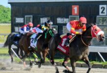 El Pool paga RD$196,584.00; jinetes De León y Villalobos ganan dos carreras