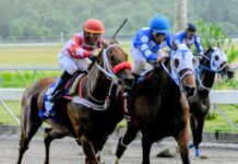 Jinete Trusman Quevedo gana dos carreras y pool paga RD$8,992.00 en el Quinto