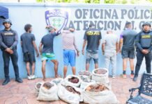 Policía Nacional desmantela grupo dedicado al robo de cables eléctricos y apresa a cuatro implicados en el Distrito Nacional