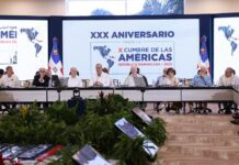 Posposición de Cumbre: lo mejor que hizo el Gobierno