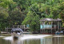 Brasil, entre el petróleo y la Amazonía: la paradoja del anfitrión de la COP30