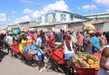 Ministerio de Comercio de Haití impedirá entrada en la frontera de productos de poliestireno