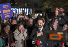 Zohran Mamdani, el joven legislador emplazado a dirigir el giro progresista de Nueva York