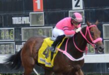 Disputarán este sábado Clásico Presidente Constitucional en el Quinto