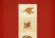 Cuentos, Vol. 1 – El grano que construyó el mundo