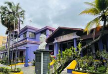 El pueblo merece respuestas responsables sobre el apagón general, dice PLD