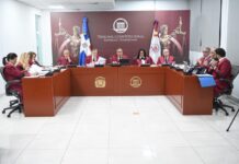 Tribunal Constitucional deja en estado de fallo 17 expedientes de acción directa de inconstitucionalidad