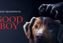 Good Boy