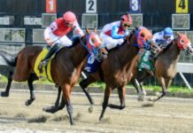 El Pool paga RD$8,468.00 y jinete Almonte gana dos en el Quinto