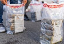 Alijo de 1.5 toneladas incautado en Baní es de los más grandes en 20 años