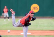 Sánchez vuelve a dominar, Lantigua y Campero jonrón en triunfo Toros