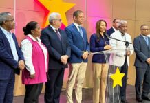 PLD denuncia desplome de la economía golpea a MiPymes