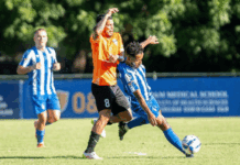 La OyM-Cibao, revancha que sabe a final fuera de LDF