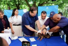 Atallah asegura que proteger a los animales es también proteger a nuestras familias