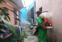 Ministerio de Salud refuerza vigilancia epidemiológica ante circulación de chikungunya en Cuba