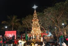 Carolina enciende la Navidad en el malecón con gran arbolito en la Plaza Santo Domingo