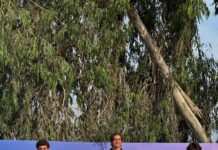 Paolo Pigozzi se distingue con medalla de oro en Juegos Bolivarianos