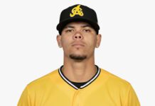 Águilas fortalecen su pitcheo con la firma de Yoan López, Abdiel Mendoza y Drew Parrish