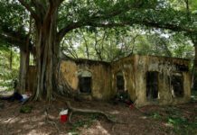 Armero: el pueblo fantasma de Colombia que arrasó una avalancha y que se resiste al olvido