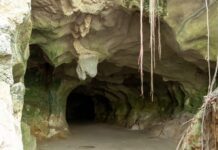 Medio Ambiente anuncia cierre temporal de las cuevas del Pomier para su restauración y protección integral