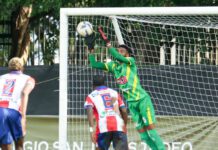 Delfines ganan segundo al hilo