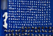 DNCD realiza 11 allanamientos en Capotillo y ocupa más de 5,000 gramos de drogas