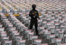 Francia privilegia la cooperación con sus socios en el Caribe contra el narcotráfico