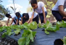 Inabie promueve conciencia ambiental en estudiantes con huertos escolares