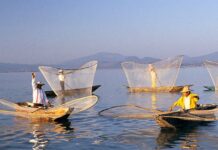 LA FAO destaca el potencial nutricional del mar y pide a América Latina que lo aproveche