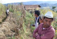 Centroamérica y el Caribe, bajo amenaza de inseguridad alimentaria por el calentamiento